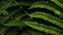 demo-attachment-560-daniel-mirlea-fxiAxNLpoqI-unsplash@2x