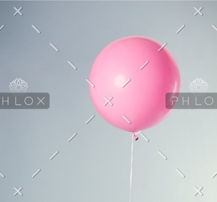 demo-attachment-563-florian-klauer-nptLmg6jqDo-unsplash@2x