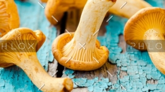 demo-attachment-1548-fresh-chanterelle-mushrooms-on-a-wooden-P5YD4CZ@2x