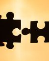collaborazione